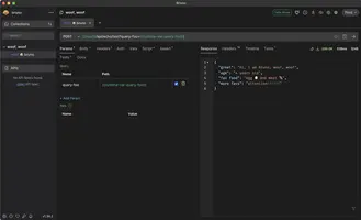 Bruno - eine schlanke Open-Source-Alternative zu Postman